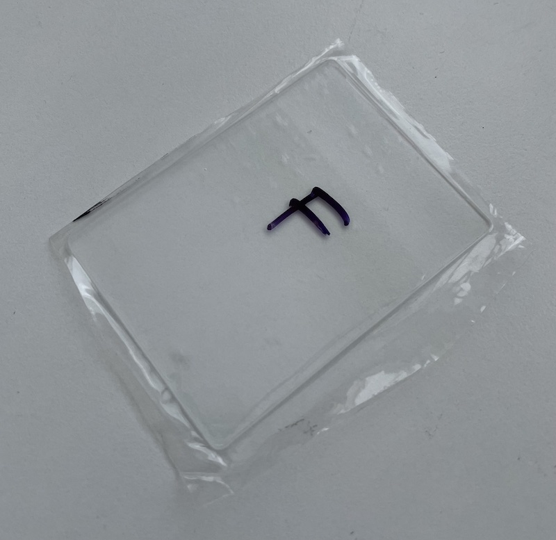 screen protector